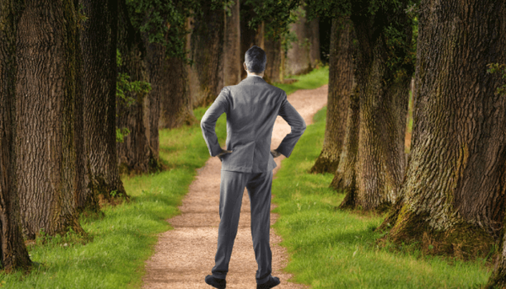 success-path