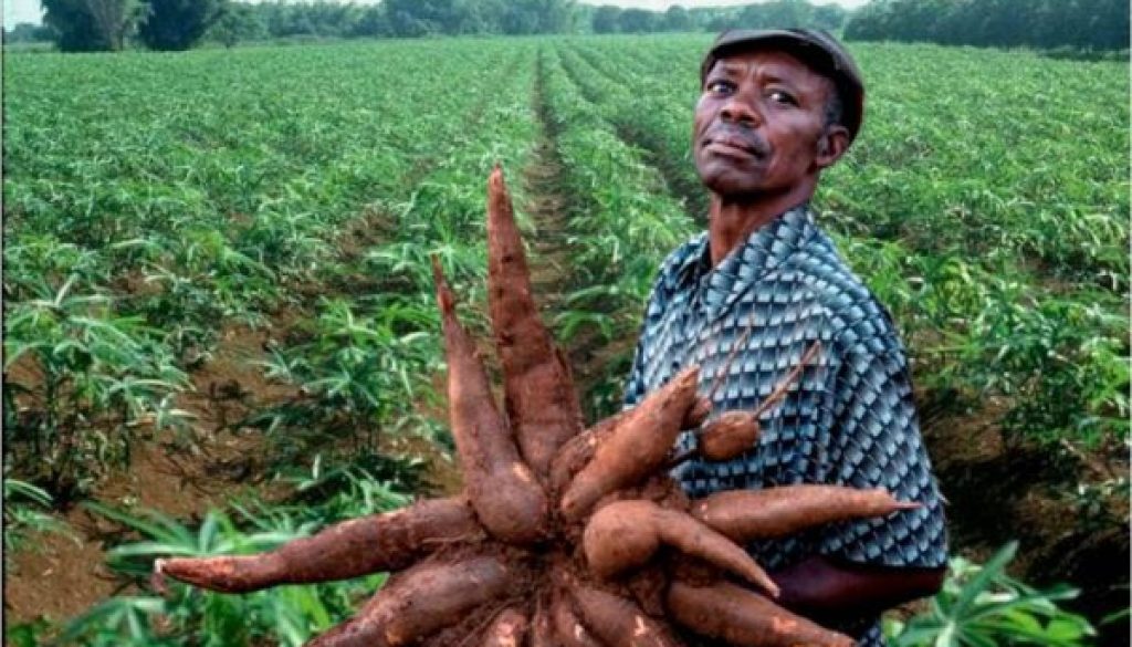 subsistence farming